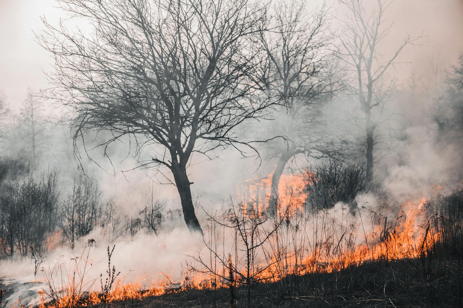 BOLLETTINO DI PREVISIONE DI PERICOLO INCENDIO N. 97 PER MERCOLEDÌ 06/08/2025