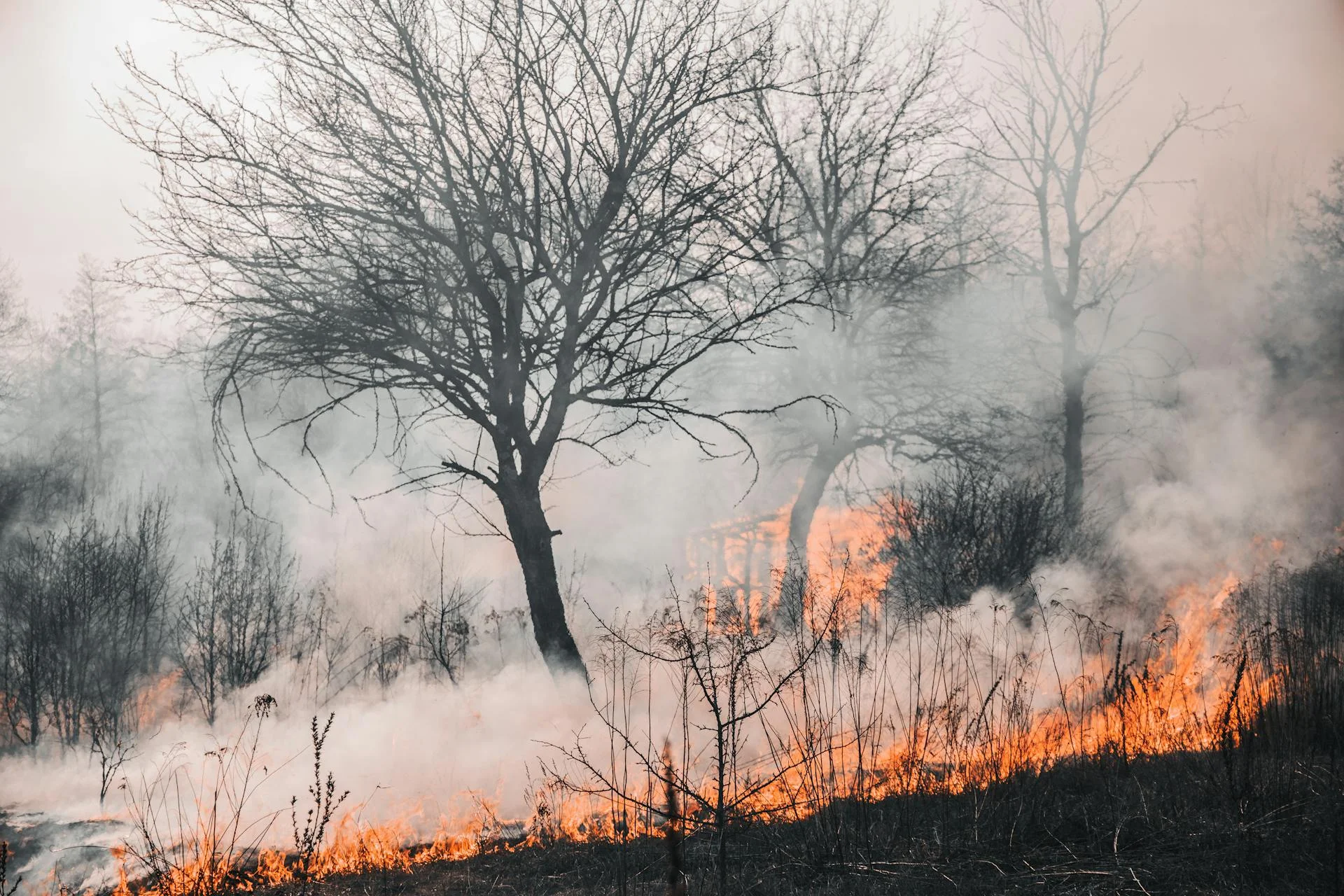 Bollettino di previsione di pericolo incendio per giovedi' 14/08/2025