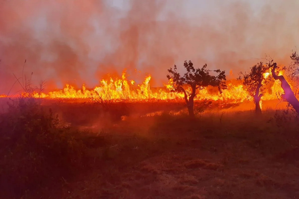 Bollettino di previsione di pericolo incendio n. 57 per venerdì 27/06/2025