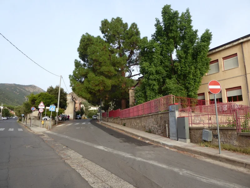 Intervento di messa in sicurezza delle alberature presso la Scuola Elementare di Via Cavour