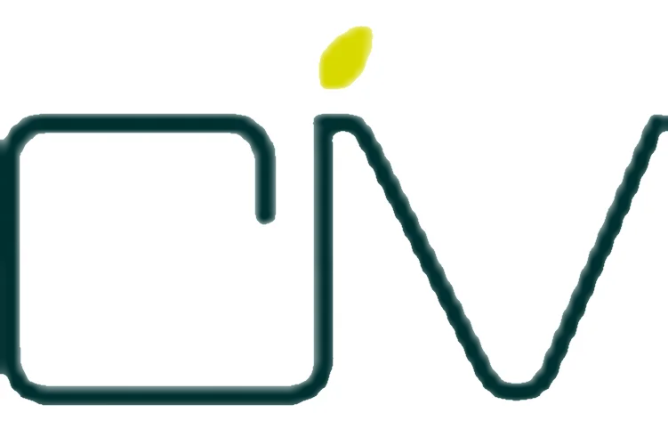 Consorzio Industriale Provinciale Medio Campidano - Villacidro.  Avviso di selezione per titoli e colloquio per l'assunzione a tempo pieno ed indeterminato di n. 1 Ingegnere