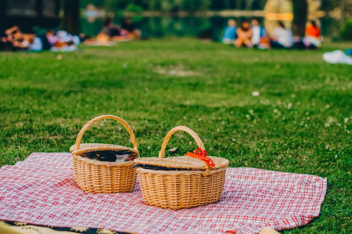 Pic-Nic Sotto Le Stelle