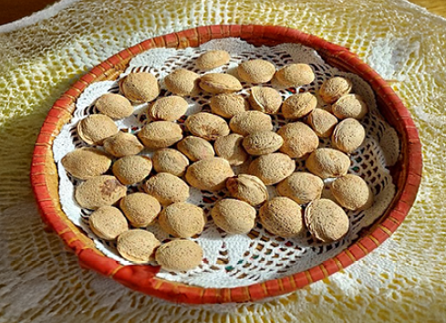 Comunità del mandorlo