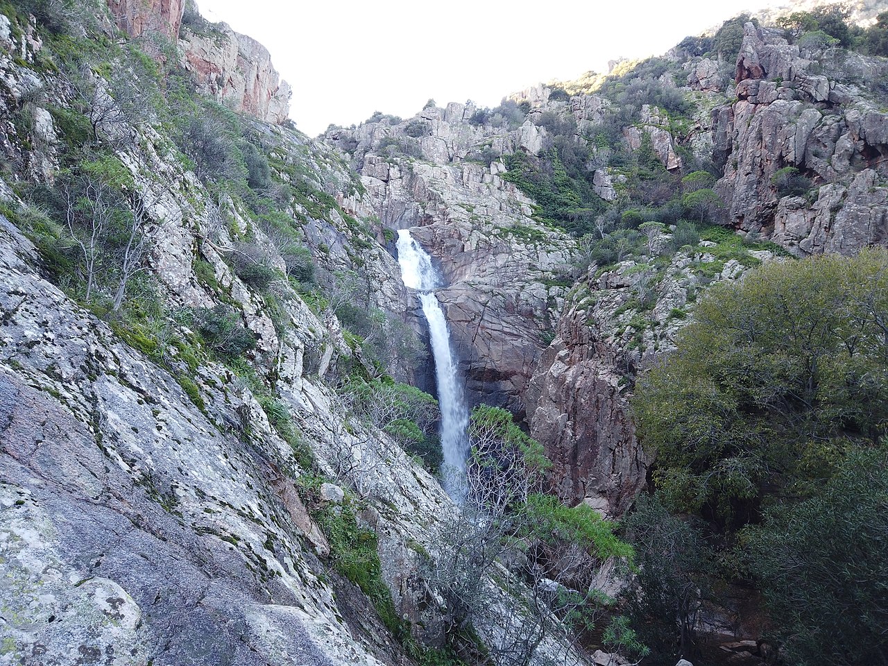 Sa Spendula
