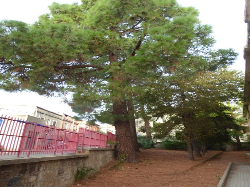 Via Cavour 3